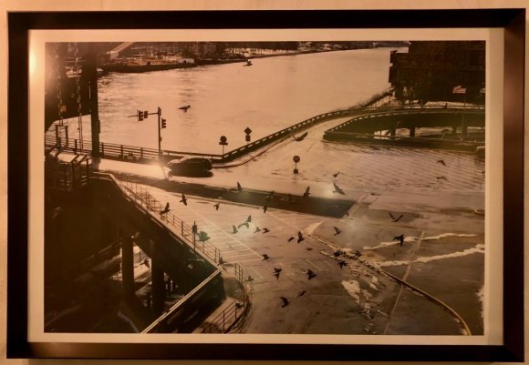 Roosevelt Island in Soho, in Pictures Pigeons flock on a rainy morning at the Roosevelt Island Bridge helix.